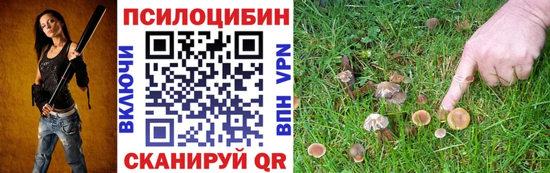 Купить закладки  Саянск  Галлюциногенные грибы Psilocybine cubensis 